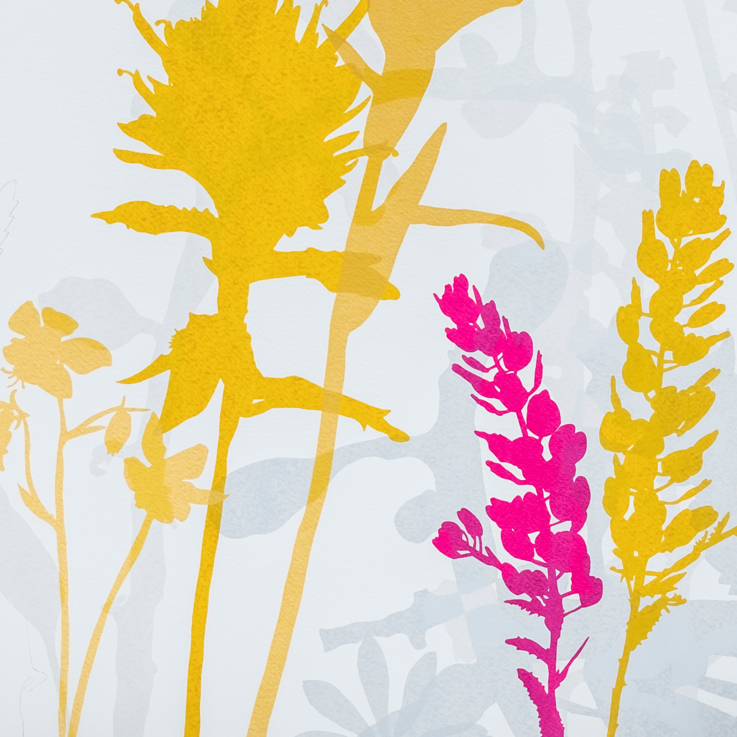 Les fleurs passagères, une exposition par Émilie Bernard, présentée au Musée acadien du Québec.