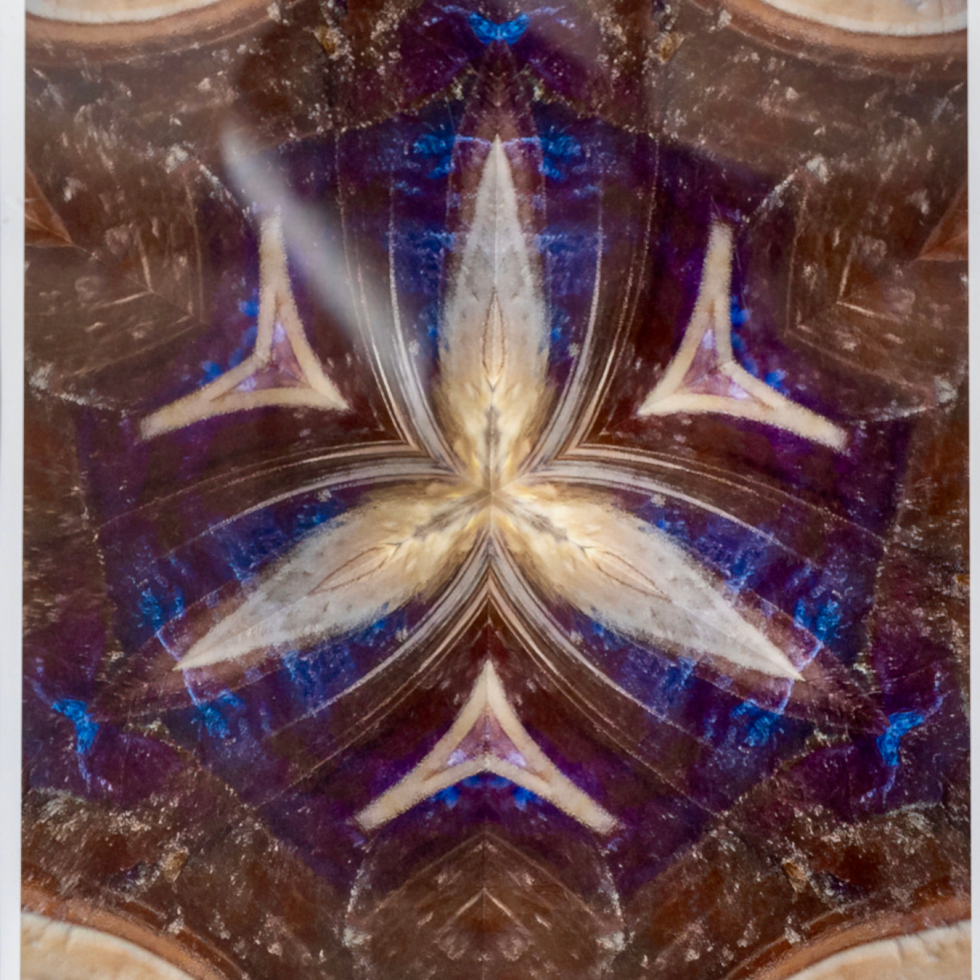 Espace Indigo Galerie d'art contemporain ⋆ Musée Acadien du Québec