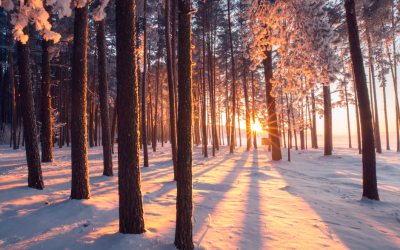 Gaspésie : 5 activités familiales à faire cet hiver