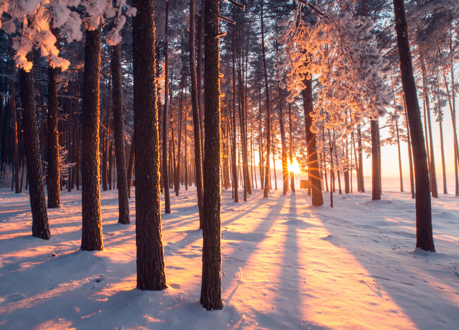 Gaspésie : 5 activités familiales à faire cet hiver