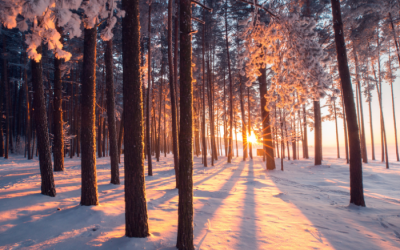 Gaspésie : 5 activités familiales à faire cet hiver