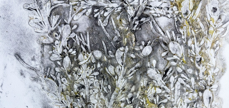 Alguier d’été – Une exposition de Mélissa Longpré