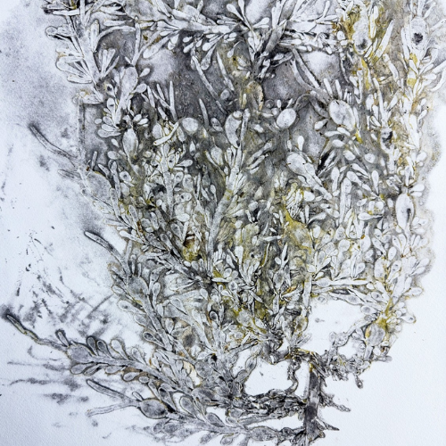 Alguier d'été par Mélissa Longpré