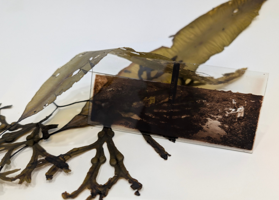 Legs et possibilités – une exposition sur les fibres textiles et la création contemporaine.
